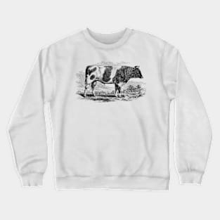 Bull Illustration Crewneck Sweatshirt